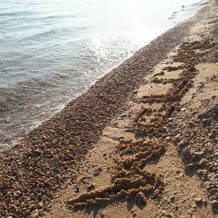 Apartment Blue Sea View